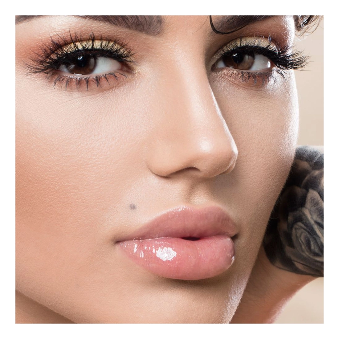 SELLMA LIPSHINE BISCUIT 2