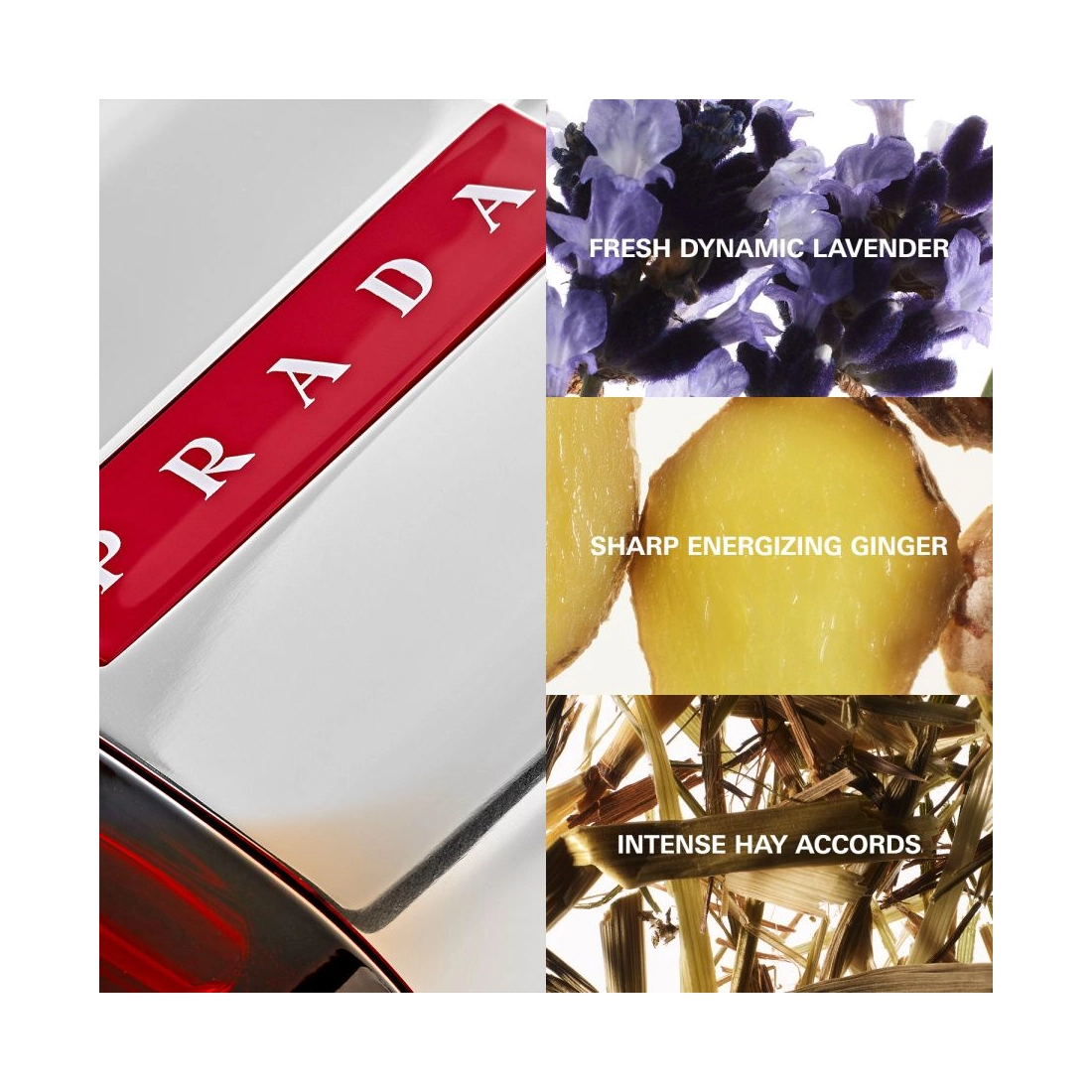 Prada Luna Rossa Sport Eau de Toilette 2