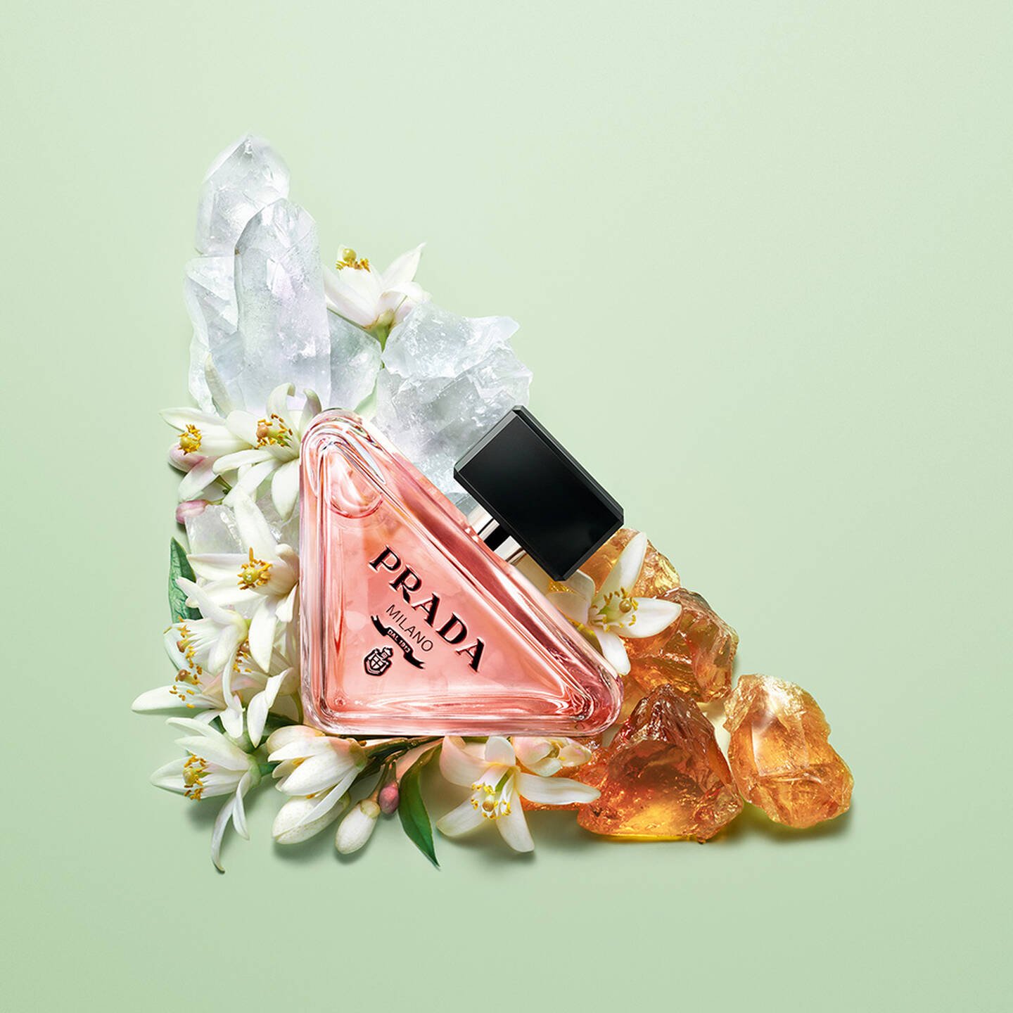 Prada Paradoxe Eau de Parfum 2