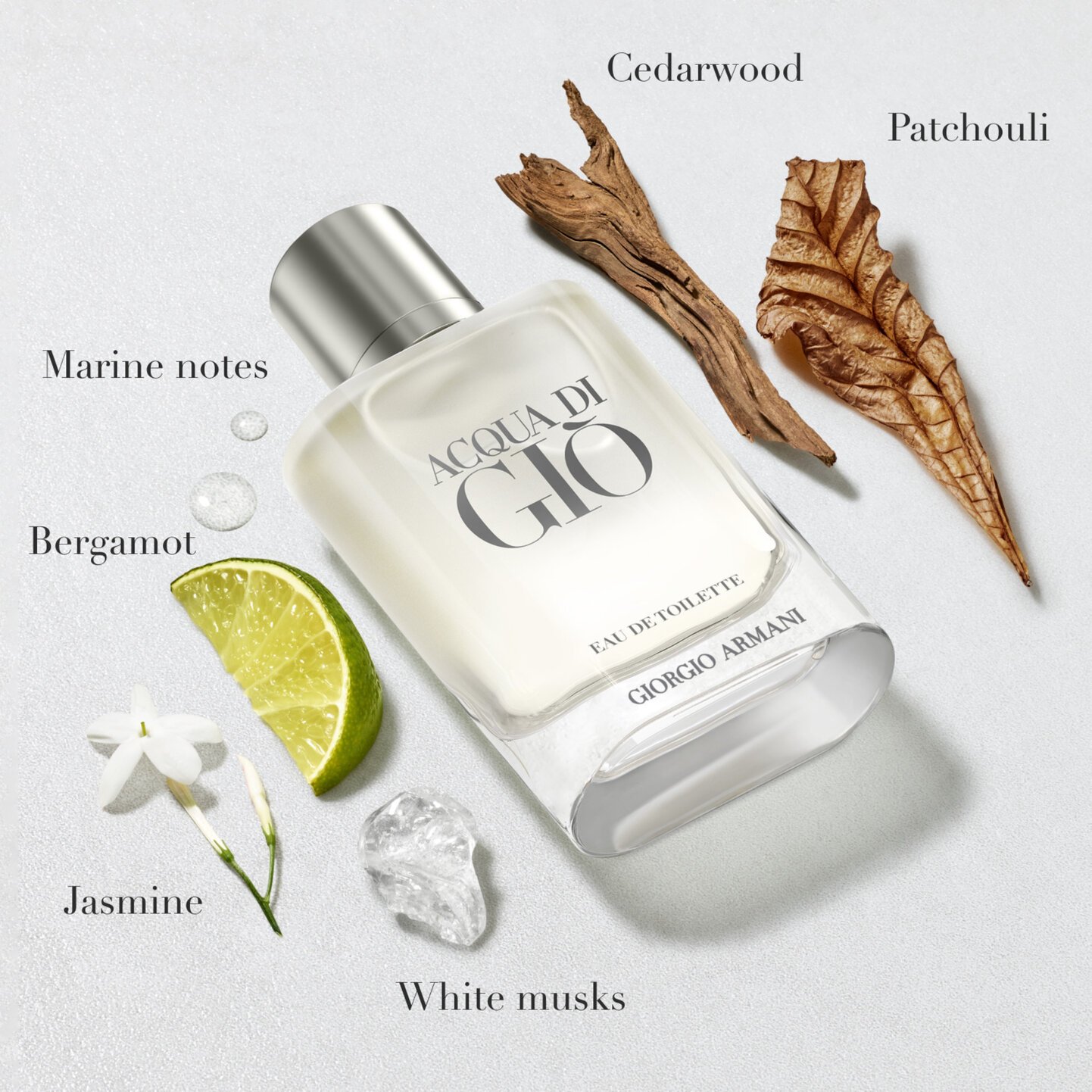 Giorgio Armani Acqua di Gio Eau de Toilette Refill 2