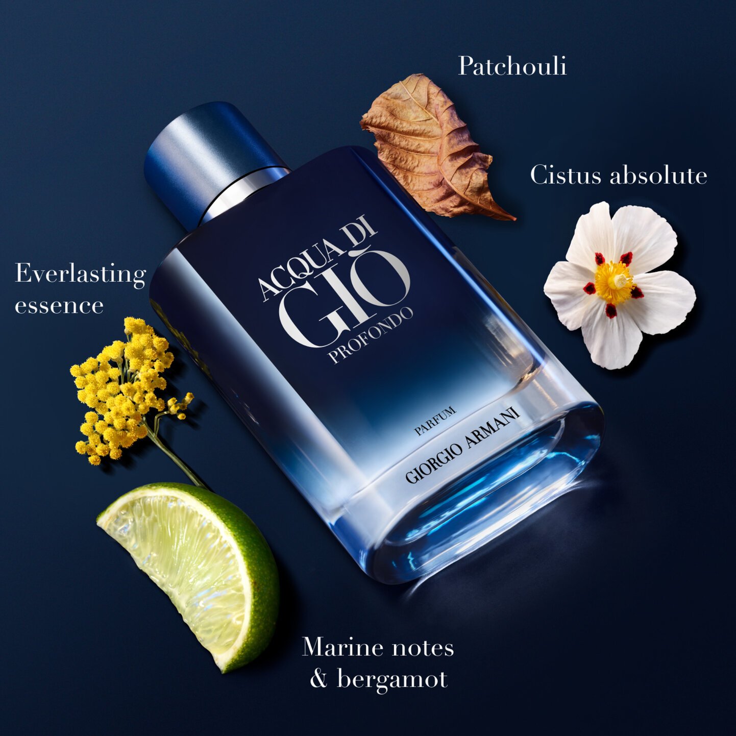 Giorgio Armani Acqua Di Gio Profondo Parfum 2