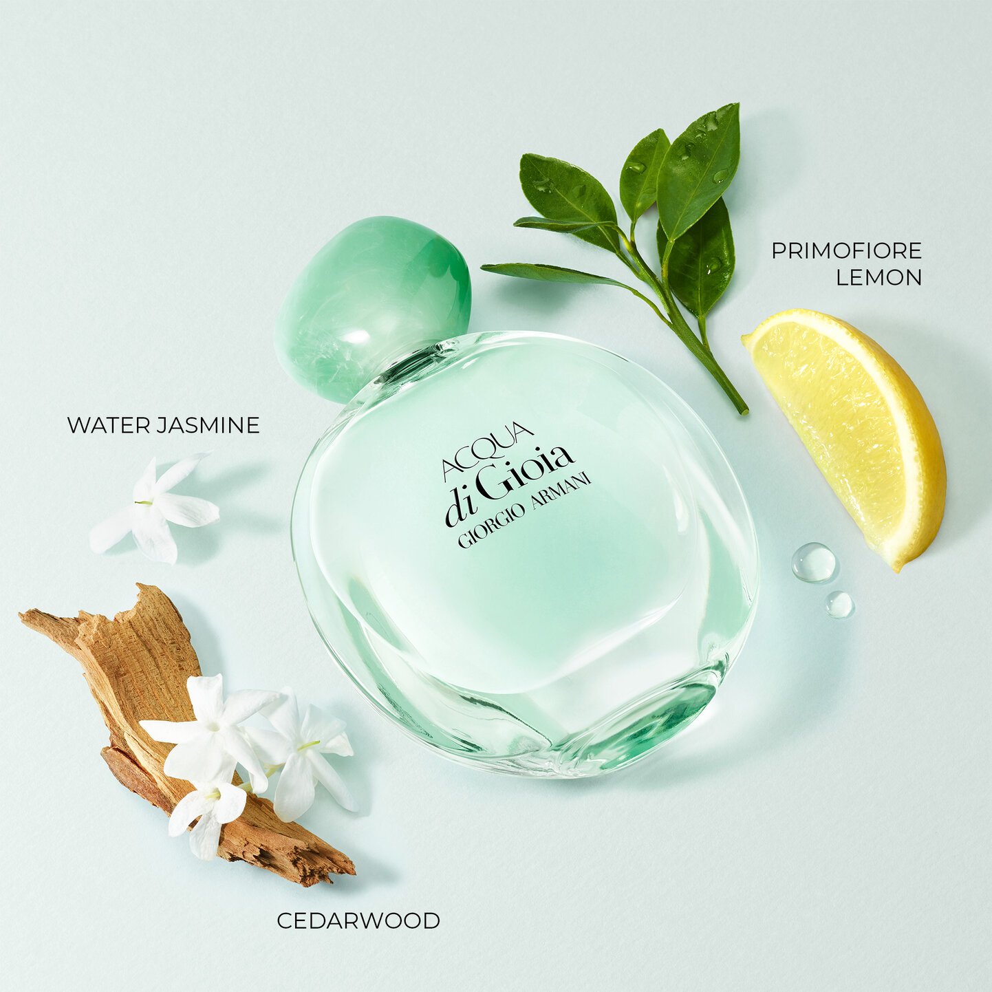 Giorgio Armani Acqua Di Gioia Eau De Parfum 2