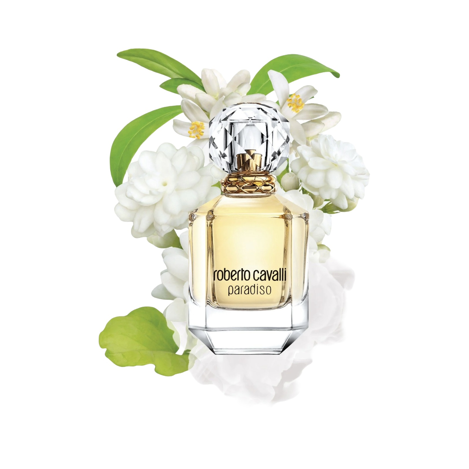 ROBERTO CAVALLI PARADISO EAU DE PARFUM 3