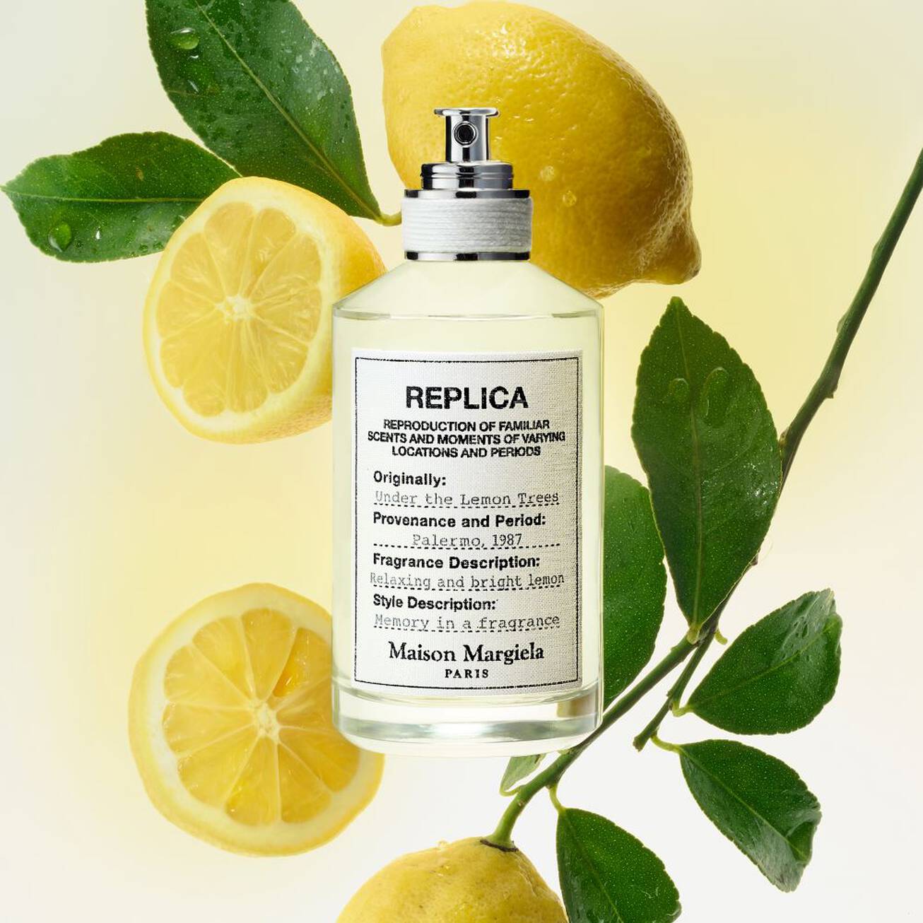 Maison Margiela REPLICA Under the Lemon Trees 2