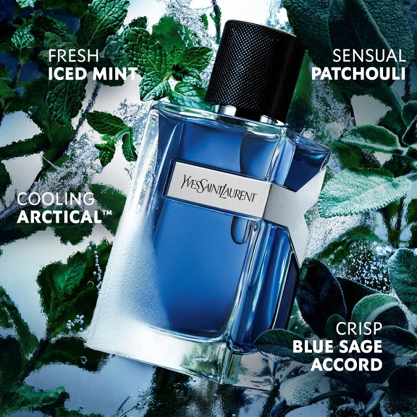 YVES SAINT LAURENT Y Iced Cologne EAU DE TOILETTE 2