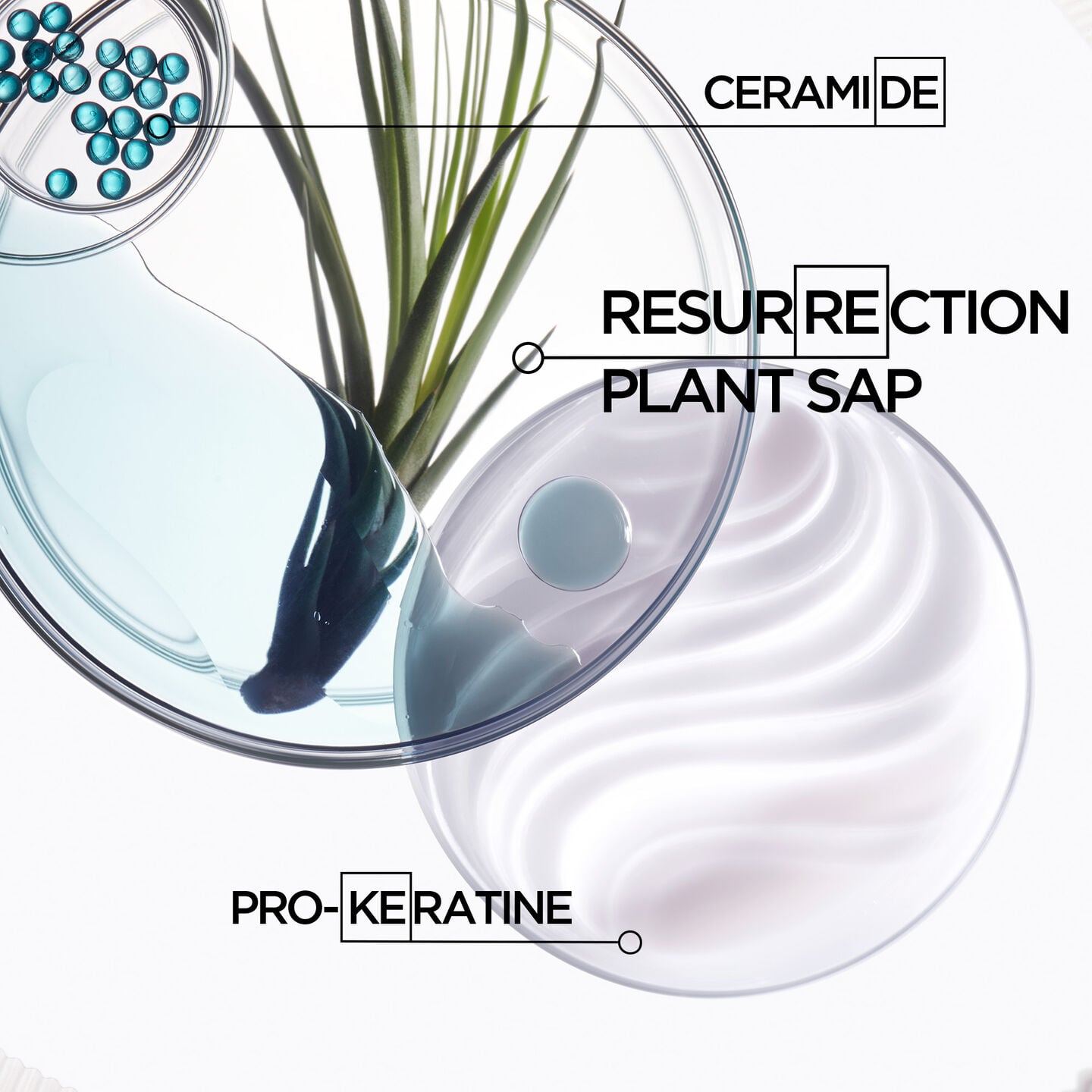 KERASTASE Résistance Bain Force Architecte Shampoo 4