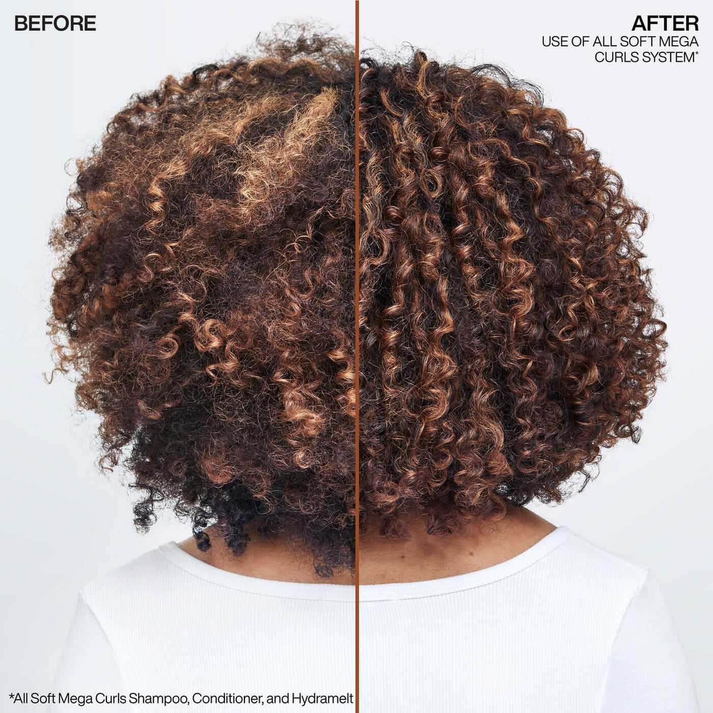 REDKEN ALL SOFT MEGA CURLS HYDRAMELT 2